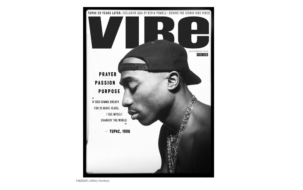 Vibe Cover 2016