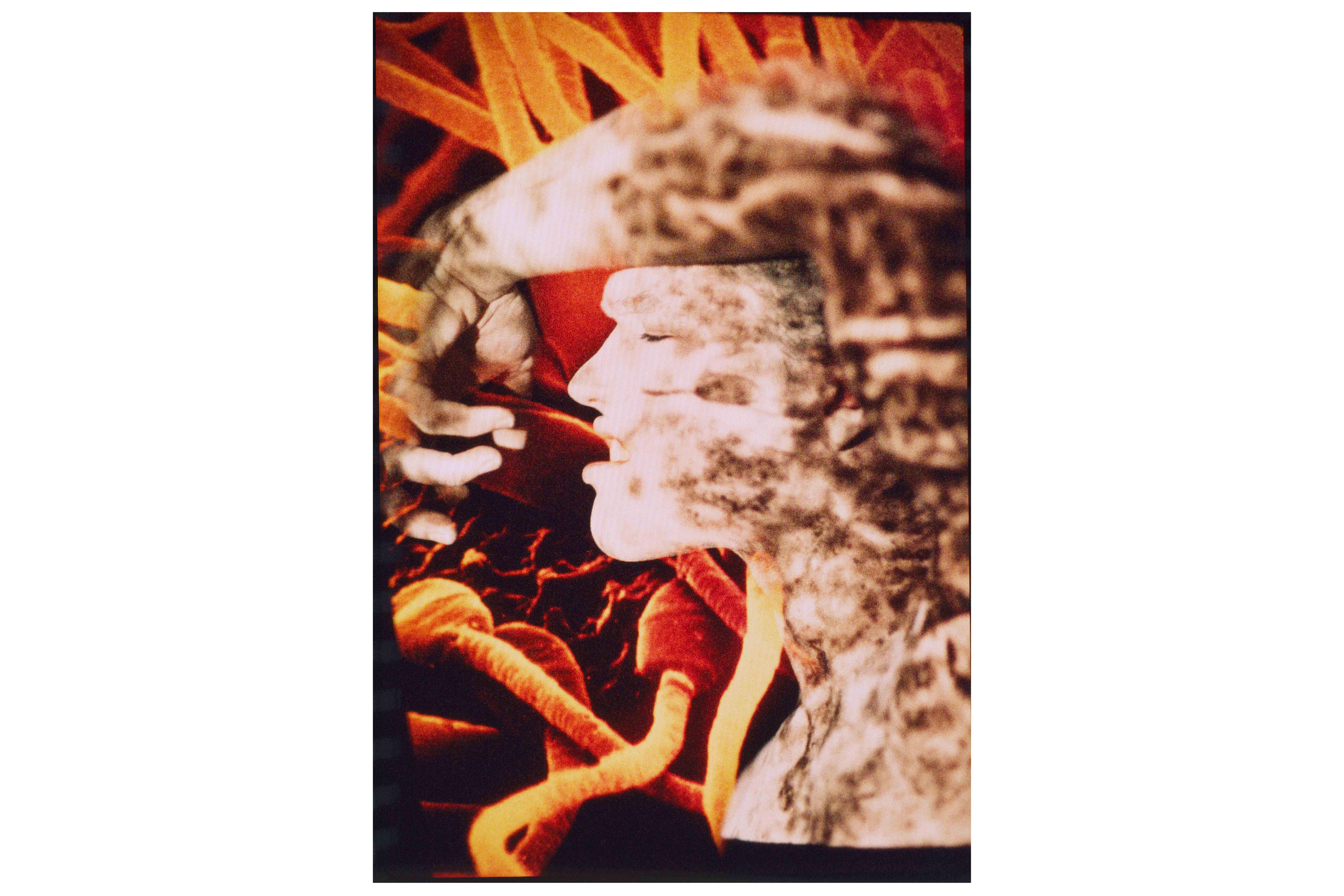 spermweb1